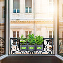 Suspendu le jardin textile, s'accroche a la rambarde des fenêtres.