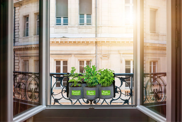 Suspendu le jardin textile, s'accroche a la rambarde des fenêtres.