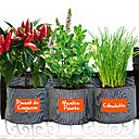 Jardin intenses pour voir pousser ses légumes et aromates.