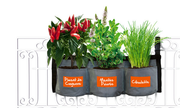 Jardin intenses pour voir pousser ses légumes et aromates.