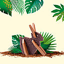 Nouveauté : un Kit lapin en chocolat à monter.