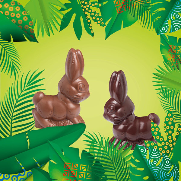 Lapins en chocolat noir et au lait en moulage.