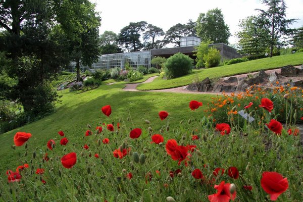 Camifoliia jardin botanique de 4 hectares, 600 espèces, 400 m² de serres et espaces scénographiques, théâtre de verdure et découverte ludique autour des 5 sens, jardins des senteurs et botanique à l'ancienne, collection nationale de camomilles.
