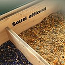 Souci officinal, les propriétés thérapeutiques du souci sont connues depuis longtemps. Au XII siècle, Hildegarde de Bingen l'utilisait contre la teigne du cuir chevelu