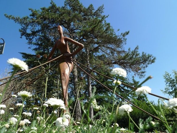 Au cœur du Jardin Camifolia, cinq statues trônent. Ce sont les Hommes médicinaux, sculptés par un artiste local, J-M Bourasseau. Chacun d’eux évoque une douleur, un mal pouvant être soigné avec les plantes situées à leurs pieds.