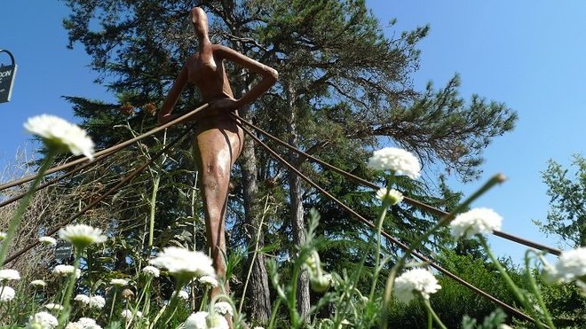 Au cœur du Jardin Camifolia, cinq statues trônent. Ce sont les Hommes médicinaux, sculptés par un artiste local, J-M Bourasseau. Chacun d’eux évoque une douleur, un mal pouvant être soigné avec les plantes situées à leurs pieds.