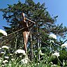 Voyage botanique au jardin Camifolia