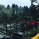 Vue d'ensemble du paysage japonais du parc de Maulévrier.