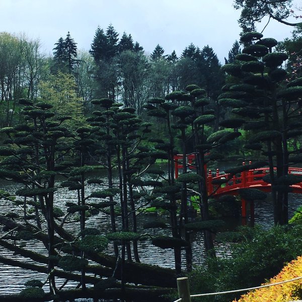 Vue d'ensemble du paysage japonais du parc de Maulévrier.