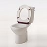 Lalunet’ pour des toilettes nettes