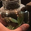 Très simple d'utilisation le Stylo + de Dremel vous permet d'aborder de nombreux graphismes, traits, points, spirales