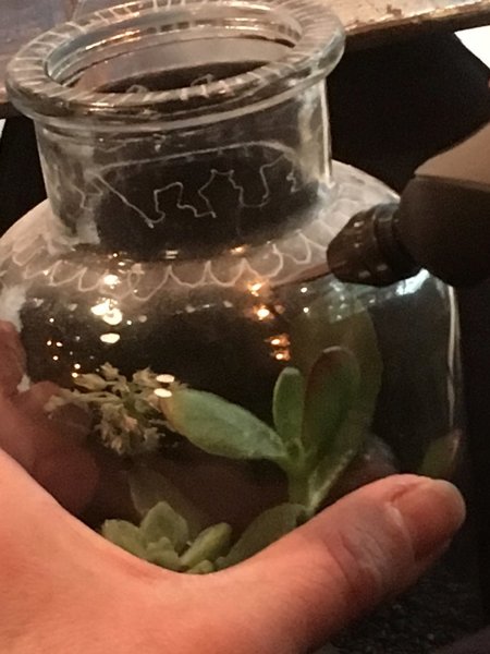 Très simple d'utilisation le Stylo + de Dremel vous permet d'aborder de nombreux graphismes, traits, points, spirales