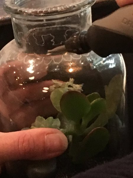 On le fait démarrer ou on l'éteins très facilement, mais il peut fonctionner sur une longue durée