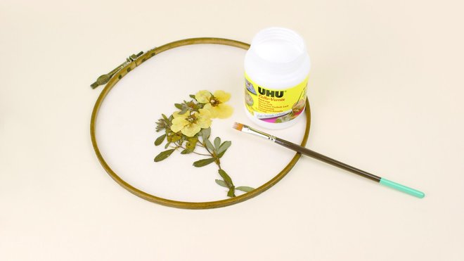 Coller une grande tige florale séchée avec la colle vernis UHU. Coller une grande tige florale séchée avec la colle vernis UHU.