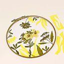 Coller le reste des végétaux sur le papier de soie.