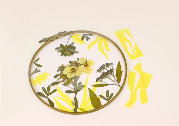 Coller le reste des végétaux sur le papier de soie.