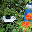 Avec près de 65 espèces de moustiques différentes en France métropolitaine, il est important de se protéger de leurs piqûres qui sont vraiment désagréables. Avec près de 65 espèces de moustiques différentes en France métropolitaine, il est important de se protéger de leurs piqûres qui sont vraiment désagréables.