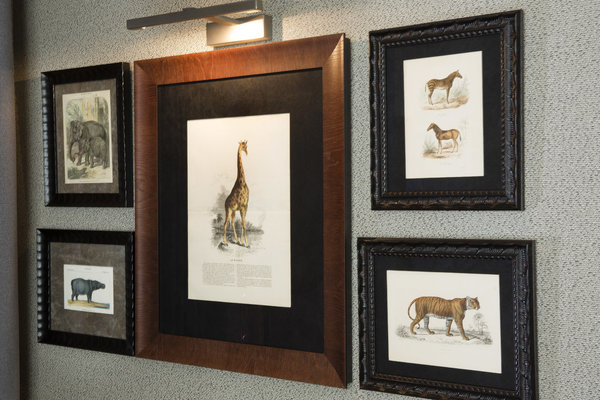 Dans les couloirs, les planches animalières jouent l’esprit de la maison Deyrolle.