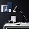 Lampadaire et lampe de table Birdy, en acier et aluminium peint. Ces nouvelles versions du modèle créé en 1952 et revisité à l’occasion du centenaire de la naissance de son créateur Birger Dahl, offrent des couleurs et des finitions inédites. Editées par Northern Lighting.