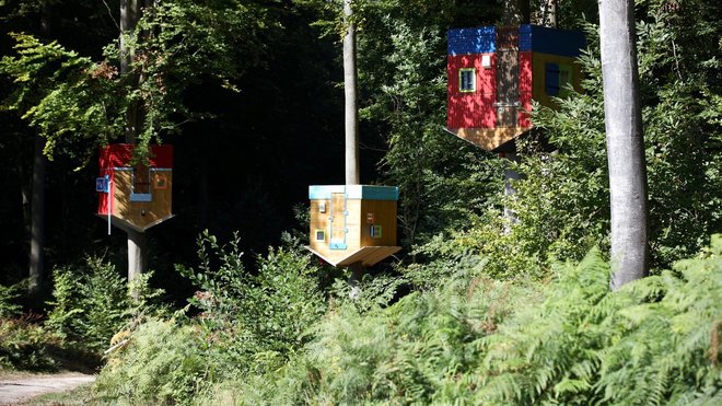 Wonder Wind de Pedro Marzorati est une installation qui parle des conséquences du changement climatique sur les sociétés humaines, en particulier sur les habitats. Après le passage d'une nouvelle tempête, beaucoup d'habitations sont détruites, envolées, balayées par le vent. Il en résulte un déplacement de masse, ces déplacements génèrent de nouveaux habitats, voire de nouvelles villes, souvent précaires.