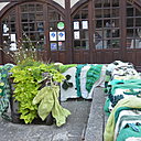 Préparation des œuvres tricotées avant l'accrochage.