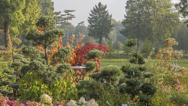 L'Europe des jardiniers a rendez vous au domaine de Chantilly.