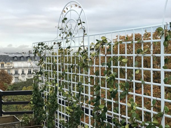L’imagination n’a pas de limites avec les treillages qui habilleront avec style les murs extérieurs ainsi que les séparations dans un même jardin.