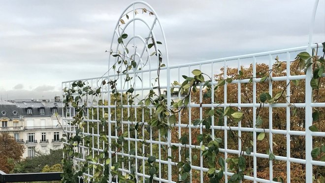 L’imagination n’a pas de limites avec les treillages qui habilleront avec style les murs extérieurs ainsi que les séparations dans un même jardin.