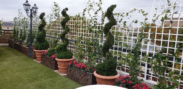 Le paysagiste peut imaginer mille perspectives en treillages : arcades, rotondes, couloirs en berceaux…pour la réalisation de cette terrasse avenue Foch.