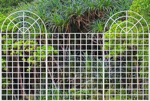 Particulièrement robustes, les profilés des treillages en aluminium laqué ne nécessitent aucun entretien et résistent parfaitement à la corrosion, aux intempéries et aux UV.