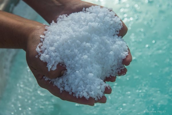 La récolte du Sel de Salies-de-Béarn.