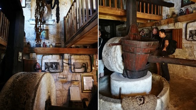 Faites un détour par le musée de l'huile d'olive et l'ancien pressoir.