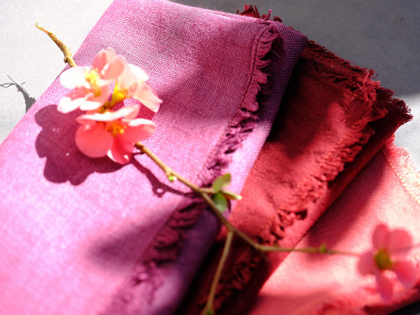 Eclatante démonstration d'un subtil mélange de rose fushia, de rouge vif, de corail, de fruits rouges et de chocolat... à table !