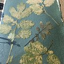 Disposer des feuilles préalablement séchées dans une presse ou dans un livre, sur une feuille de papier, posé sur un support.