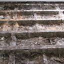 Etape 4 : Vue d’ensemble du plancher débarrassé de l’ancien parquet.