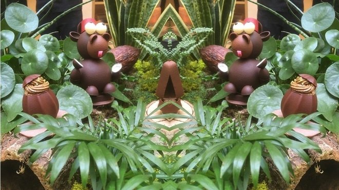 Edwart le chocolatier invite petits et grands à  découvrir les animaux des 4 coins du monde en dégustant les grands crus de cacao