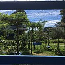 Encadrement de jardin Complantation/Contemplation de Catherine Baas et Christophe Tardy à découvrir jusqu'au 9 juin au jardin de la villa Rothschild à Cannes