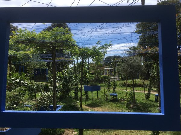 Encadrement de jardin Complantation/Contemplation de Catherine Baas et Christophe Tardy à découvrir jusqu'au 9 juin au jardin de la villa Rothschild à Cannes