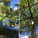 Bassin de Complantation : Contemplation de Catherine Baas et Christophe Tardy un bassin à contempler,  un jardin à contempler.