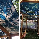 Folie Folia France:Maroc Livia Kolb et Virgine Alex, Cyanotypes se jouant des feuillages; les toiles blanches traitées en réserve de feuillages en cyanotype un passage comme un toit en pagode.