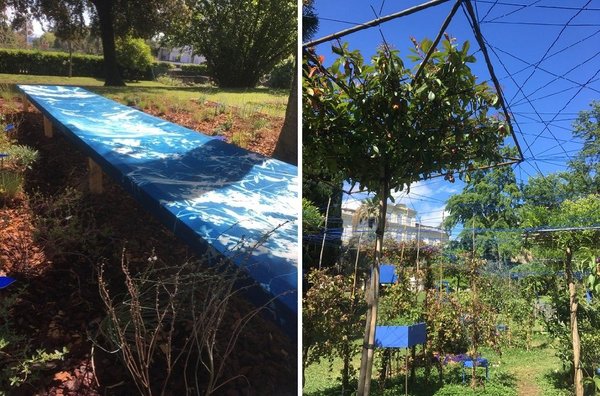 Toile horizontale avec impressions de feuillages pour ce chemin de végétaux jouant avec le soleil dans le jardin de la Médiathèque Noailles.