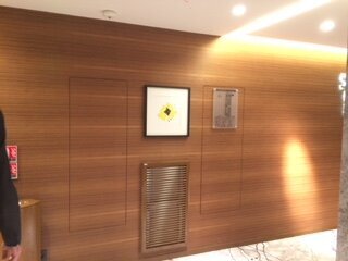 Prêt à la pose, le revêtement Sanfoot est en placage de bois véritable ce qui donne un rendu parfait.